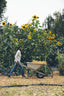 Pandora-Earthseed-regenerative-agriculture